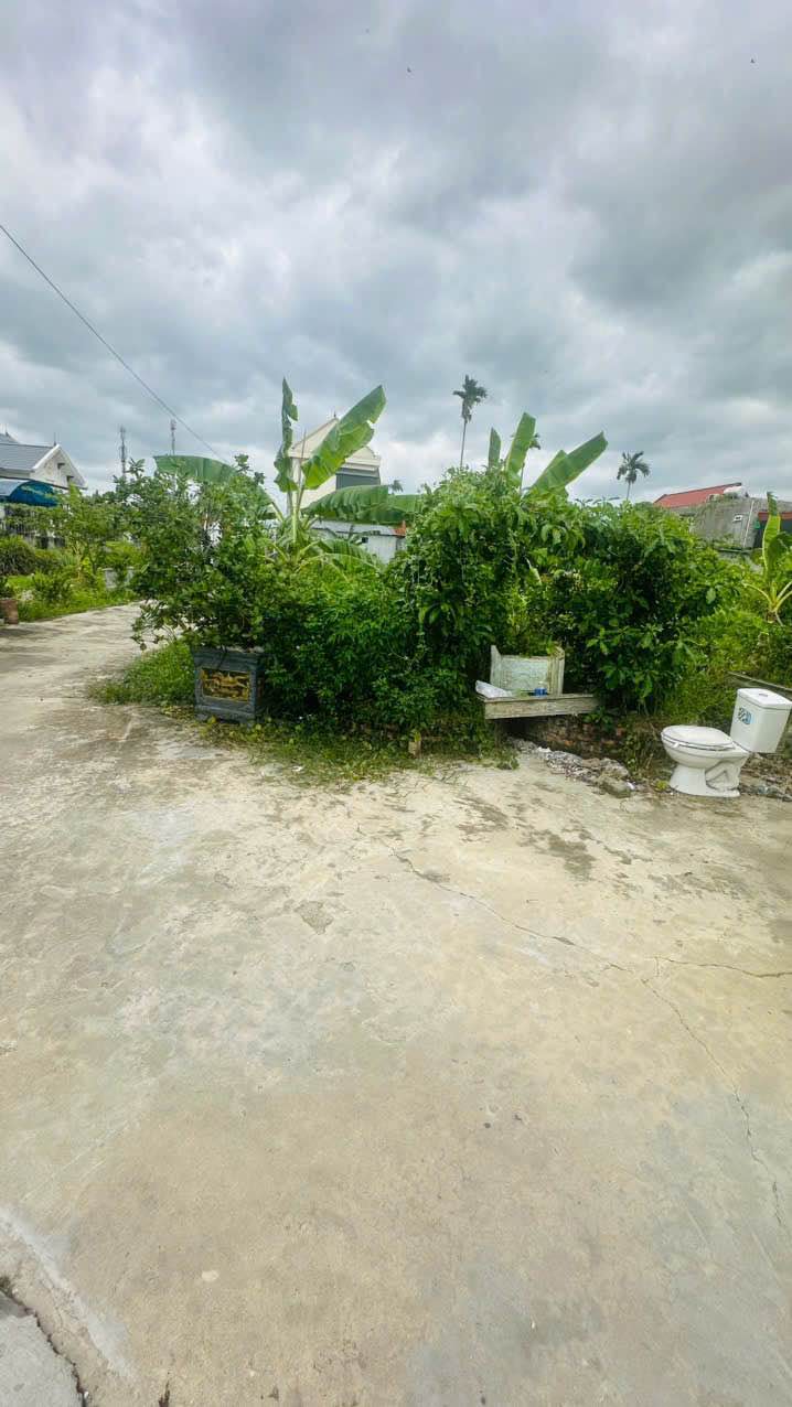 Đất nền Kiều Hạ 2, An Dương 62m² giá 1.2 tỷ - Cơ hội đầu tư hiếm có!