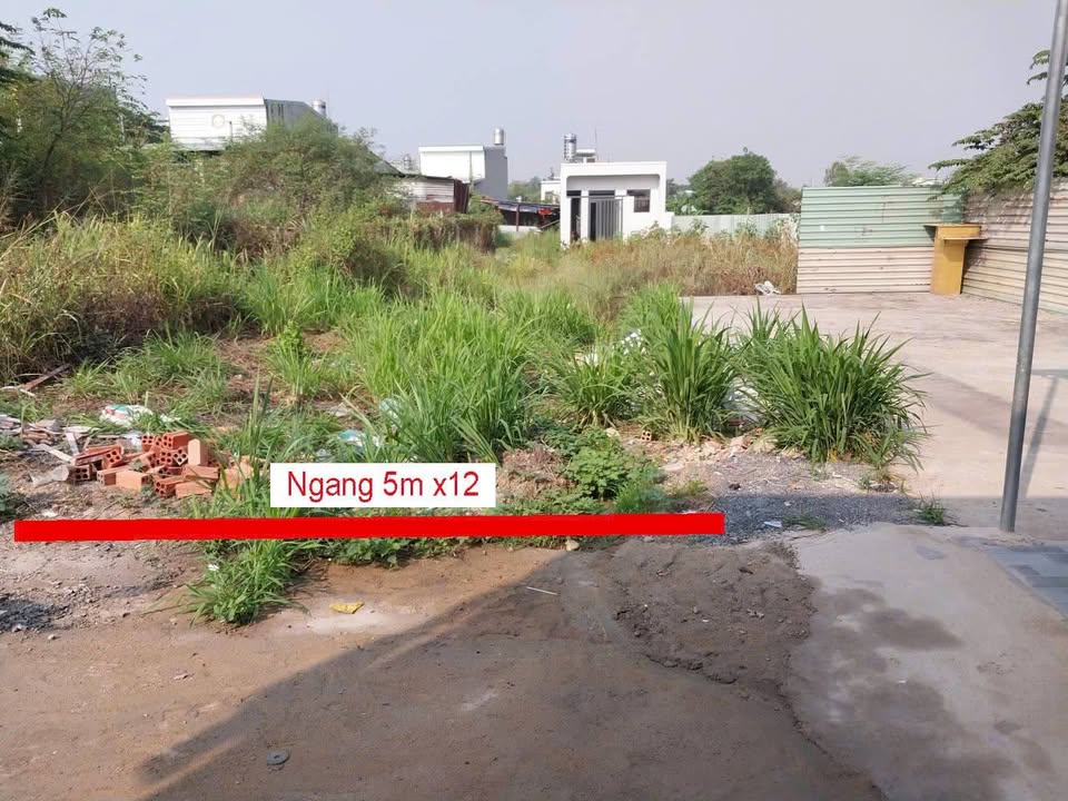 Đất nền hẻm 12 Trảng Dài, Biên Hòa 60m² giá 350 triệu - Đầu tư sinh lời ngay!