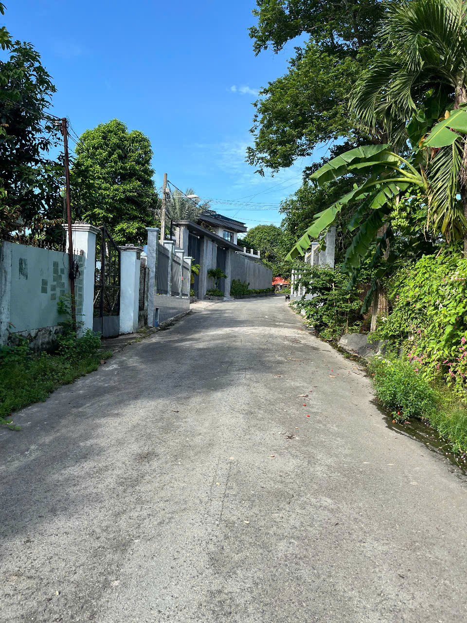 Đất nền Tân An 150m² giá chỉ 1.7 tỷ - Đầu tư sinh lời cao!