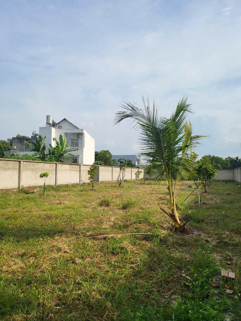 Lô đất mặt tiền Đường An Ninh, Đức Hòa, Long An 1.008m² - Giá thương lượng hấp dẫn!