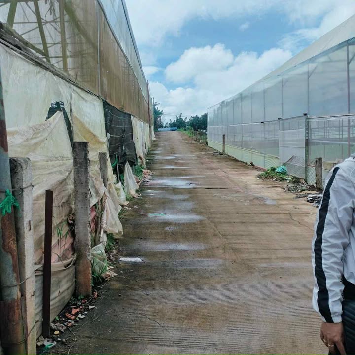 Đất 2 mặt tiền tại trung tâm phường Langbiang, Lạc Dương - Diện tích 2000m², giá 8 tỷ - Cơ hội đầu tư vàng!