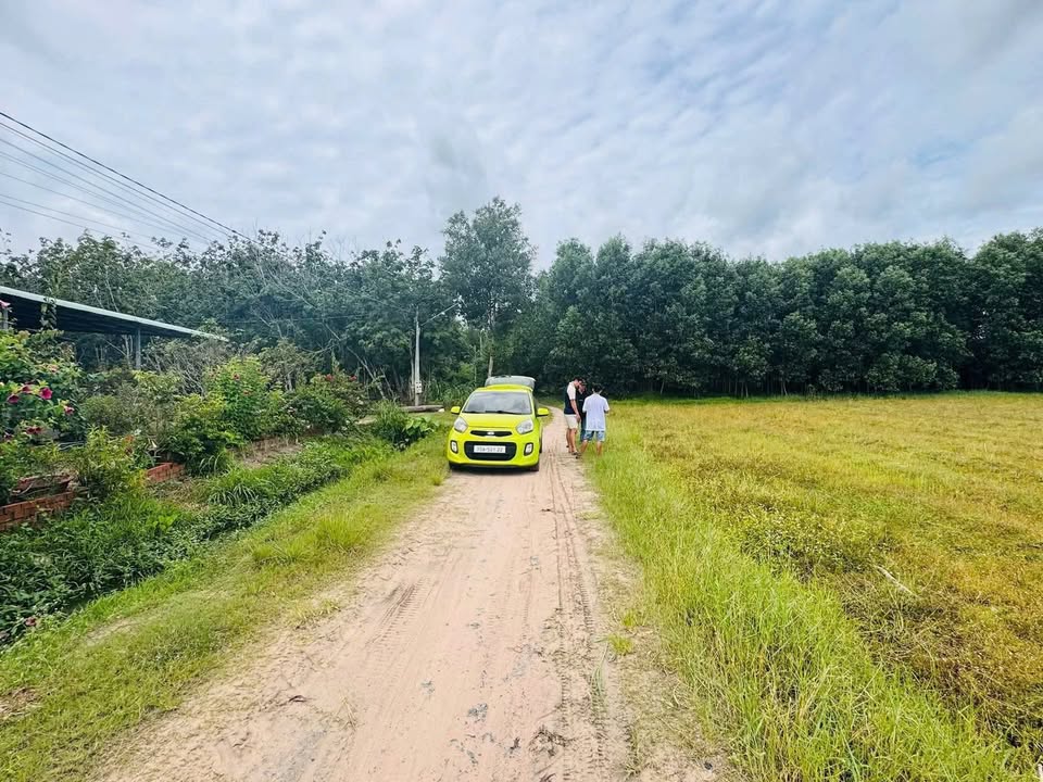 Đất nền 225m² Thạnh Bình, Tân Biên, Tây Ninh giá chỉ 130 triệu - Sổ hồng chính chủ sẵn sàng!