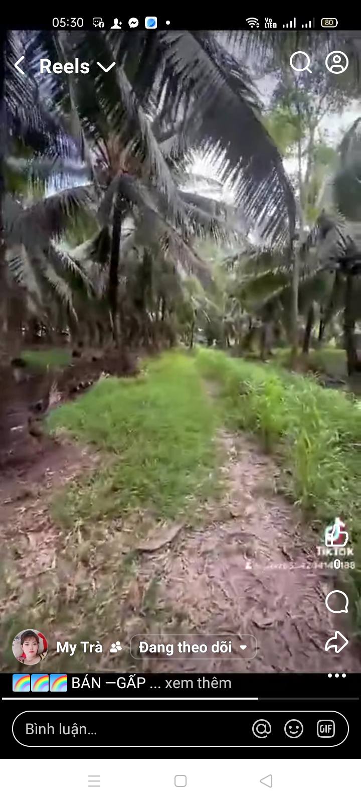 Đất vườn 60.000m² tại Đại Điền, Thạnh Phú - Giá chỉ 1.8 tỷ - Sổ đỏ chính chủ!