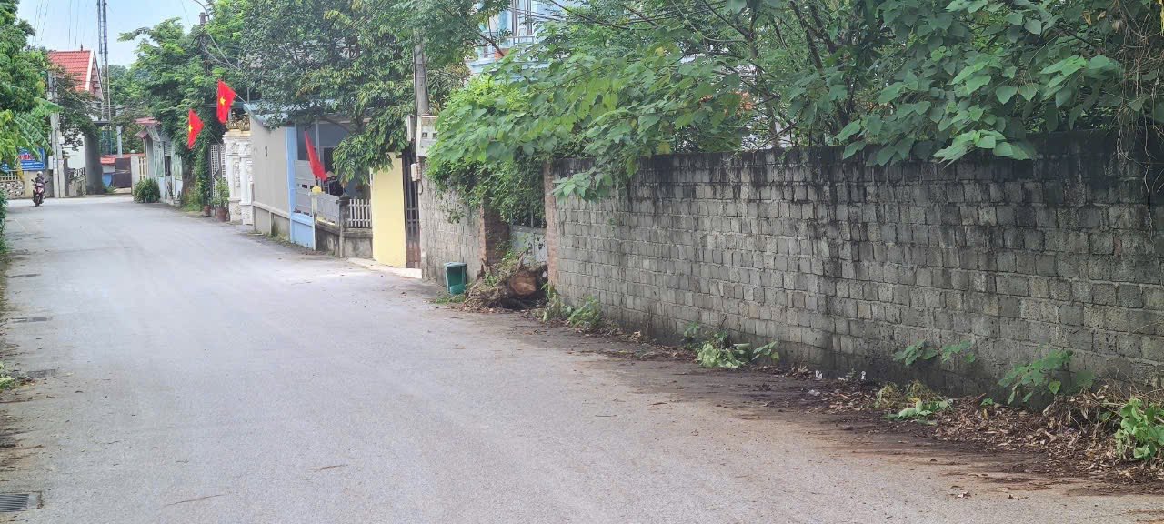 Đất xây biệt thự 1000m² tại Cầu Bút, Vĩnh Yên - Giá 11 tỷ hấp dẫn!