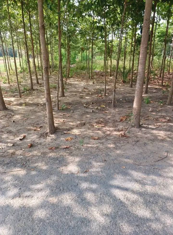 Đất nền ấp Tà Cú B, xã Kim Sơn, 960m² giá 38.4 tỷ - Cơ hội đầu tư tuyệt vời!