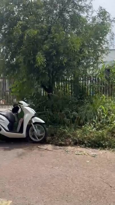 Đất nền Long Nguyên Bàu Bàng 1300m² giá 2.1 tỷ - Sổ hồng chính chủ, gần KCN Bầu Bàng!