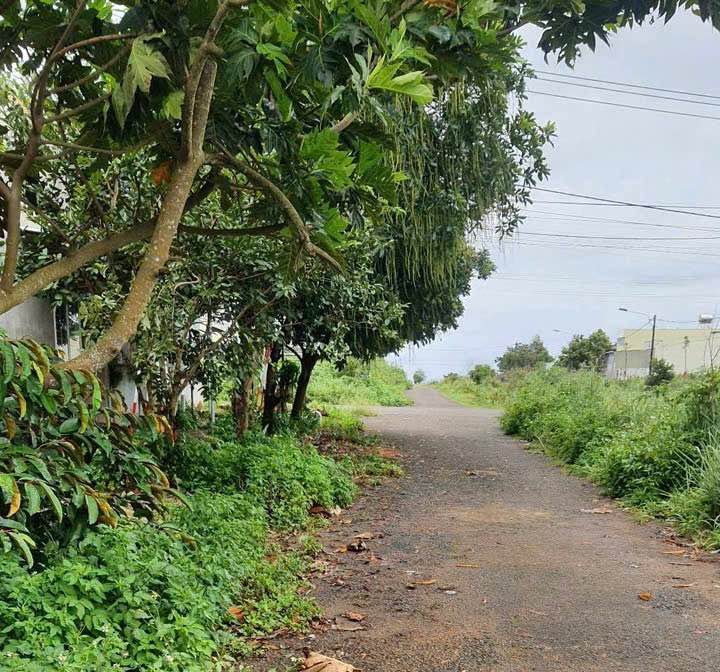 Đất mặt tiền đường Lê Đức Thọ, Pleiku 175m² giá 1.5 tỷ - Cực kỳ thoáng đãng!