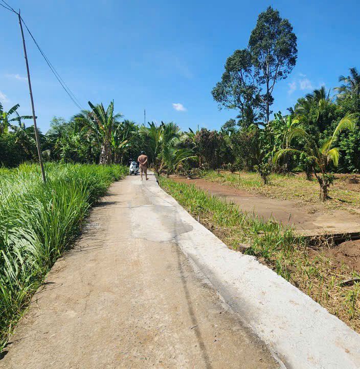 Đất nền 313m² tại phường Phú Khương, Bến Tre - Giá chỉ 499 triệu, thương lượng!