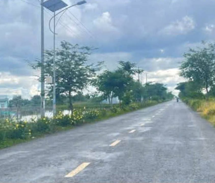 Đất mặt tiền đường Tôm Lúa - Xã Ngọc Tố, 1497m² chỉ 1 tỷ - Cơ hội đầu tư hấp dẫn!