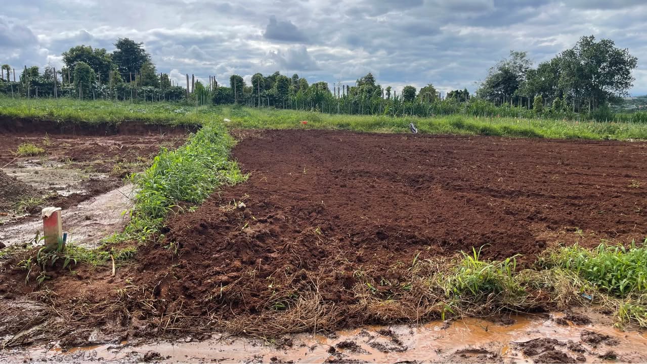 Đất nền Pkeiku, Pleiku 296m² giá 950 triệu - Tiềm năng nghỉ dưỡng lý tưởng!