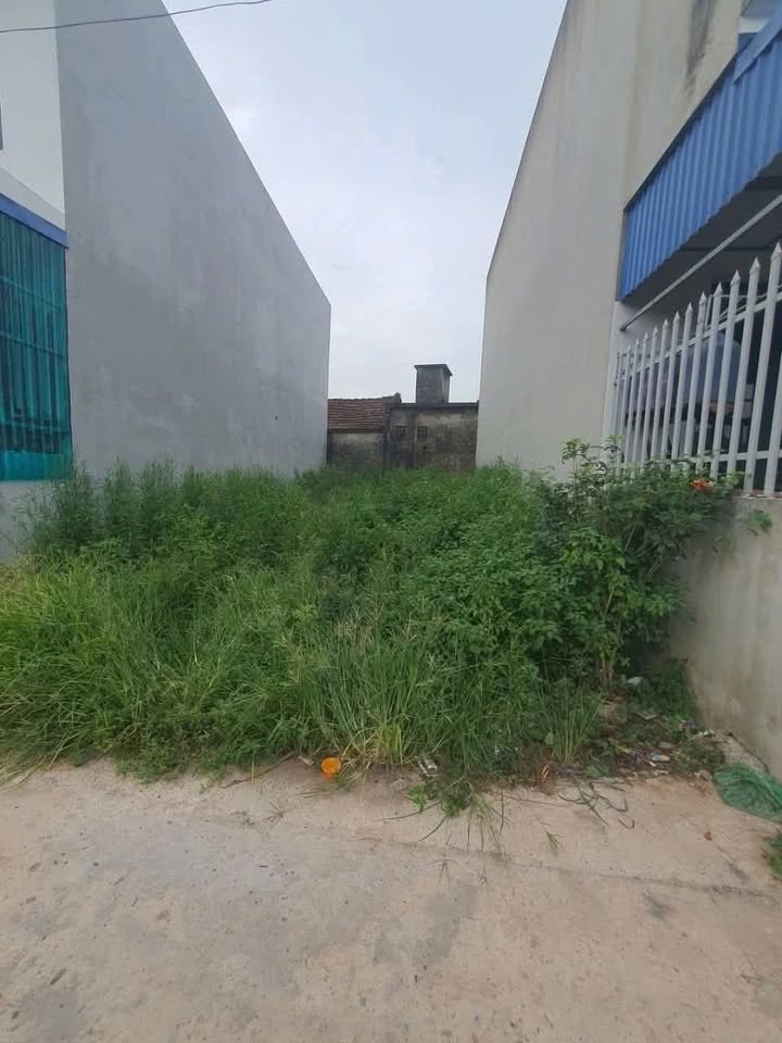 Đất Vị Khê, Nam Trực 80m² giá chỉ 1 tỷ - Vị trí vàng, cơ hội đầu tư hấp dẫn!