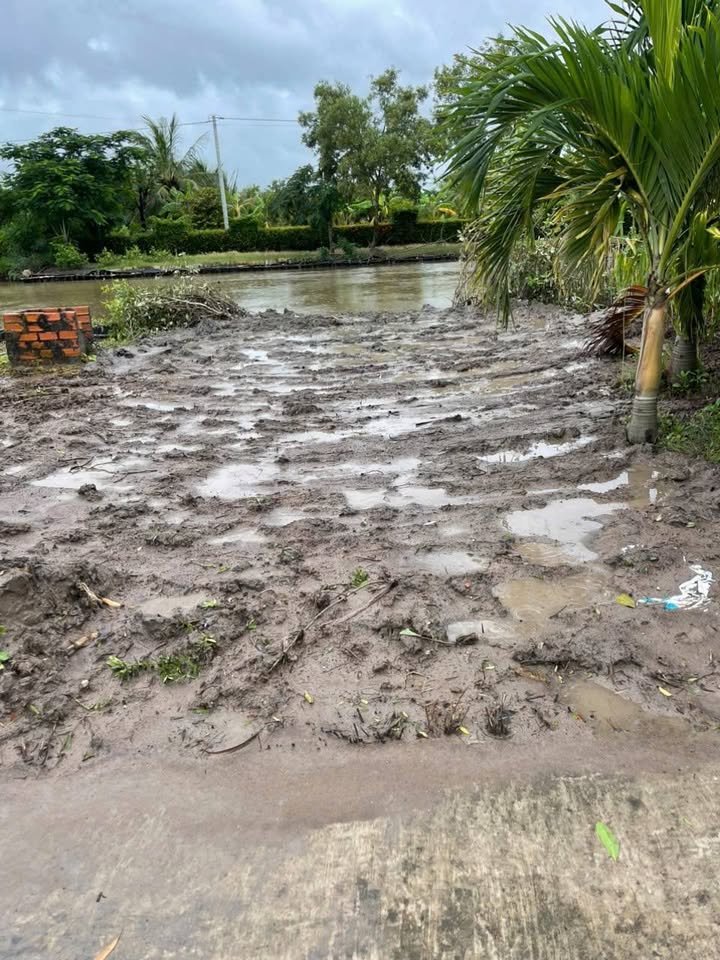 Đất nền đẹp tại xã Thạnh Phú, huyện Cái Nước, Cà Mau 250m² - Giá thỏa thuận hấp dẫn!