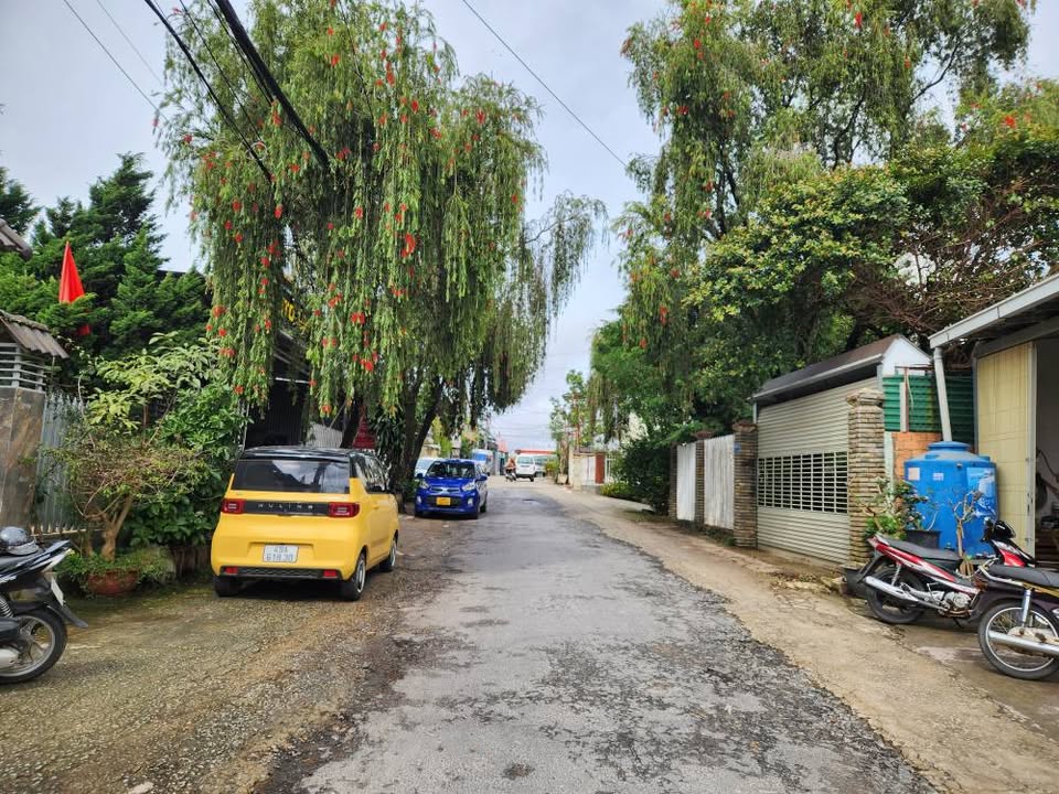 Nhà nguyên căn cho thuê mặt đường Nguyên Tử Lực - 190m² giá 12 triệu/tháng - Sẵn sàng kinh doanh!