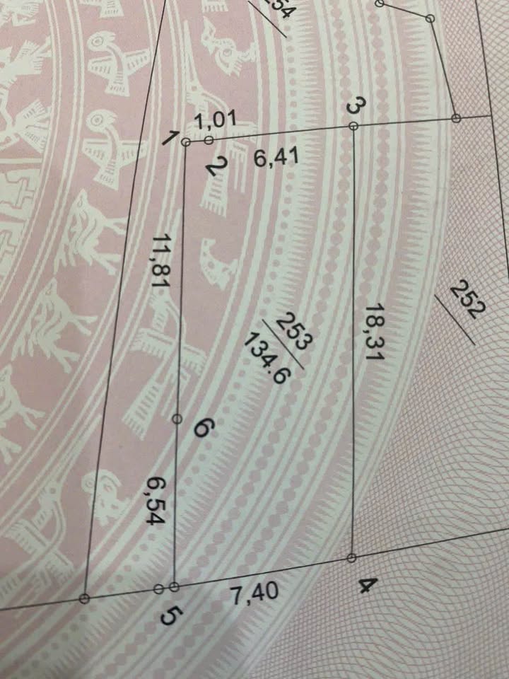 Đất nền Xóm 6, xã Tự Nhiên, Thường Tín 134m² giá 4.4 tỷ - Mặt tiền rộng, vị trí đắc địa!