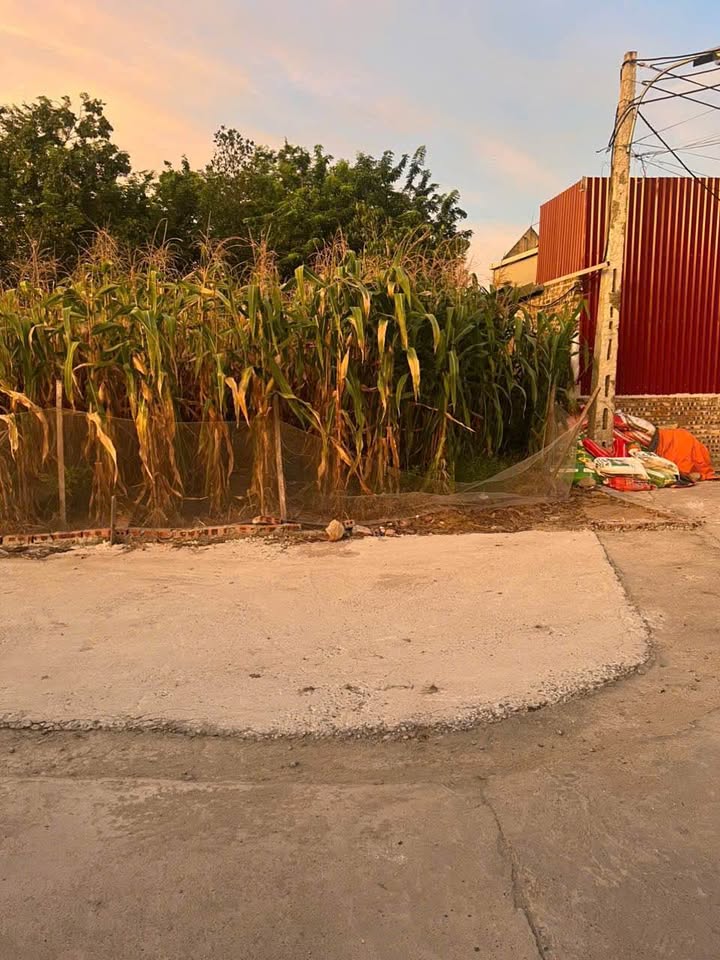 Đất nền Lương Tài 126m² giá thỏa thuận - Đường ô tô rộng rãi!