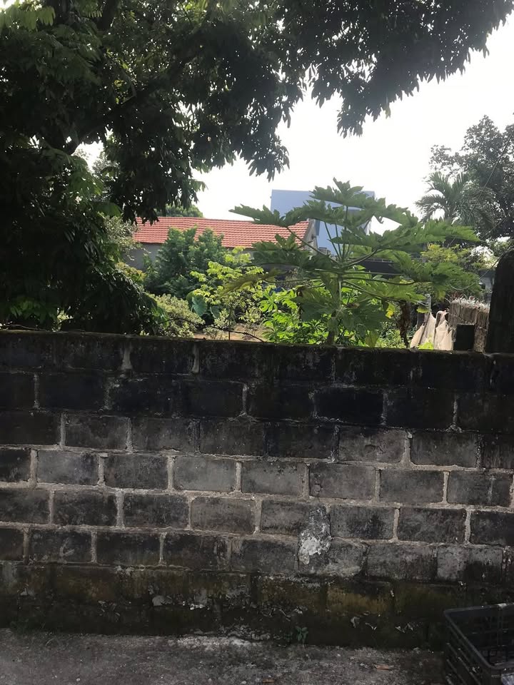 Đất nền khu dân cư Trại Mít, Thái Học, 80m² chỉ 1 tỷ - Đầu tư sinh lời ngay!