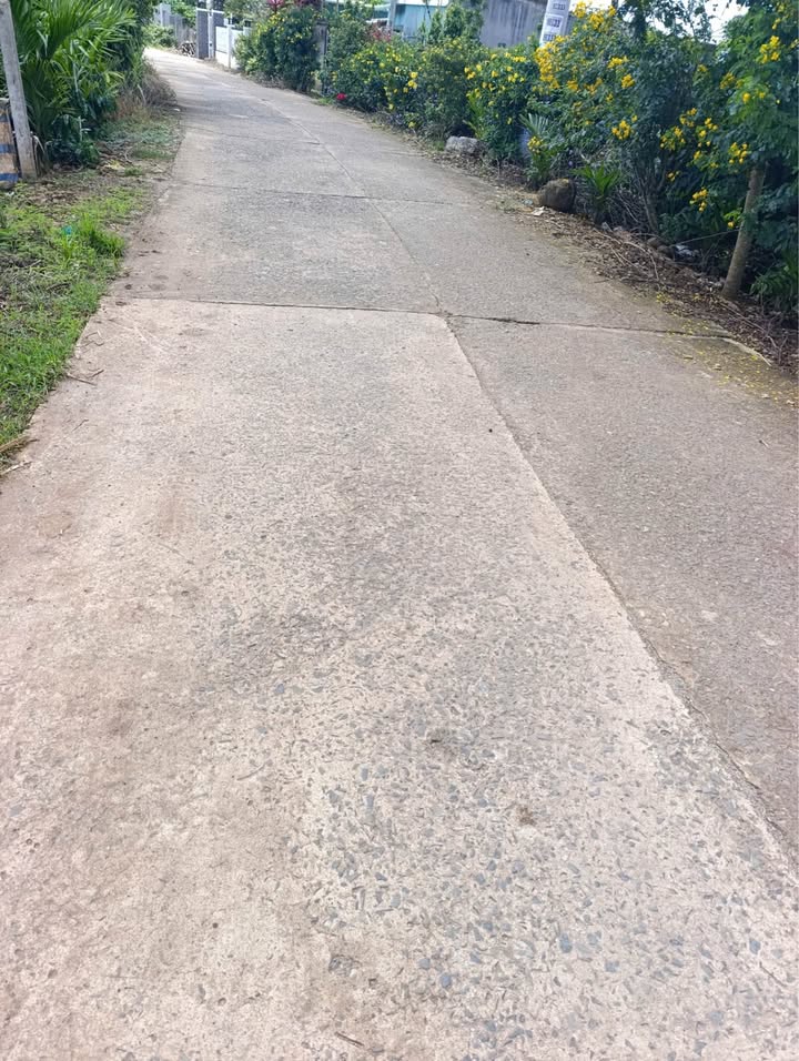 Đất nền Tân Hội, Đức Trọng 1138m² giá 4.25 tỷ - Cơ hội đầu tư hiếm có!