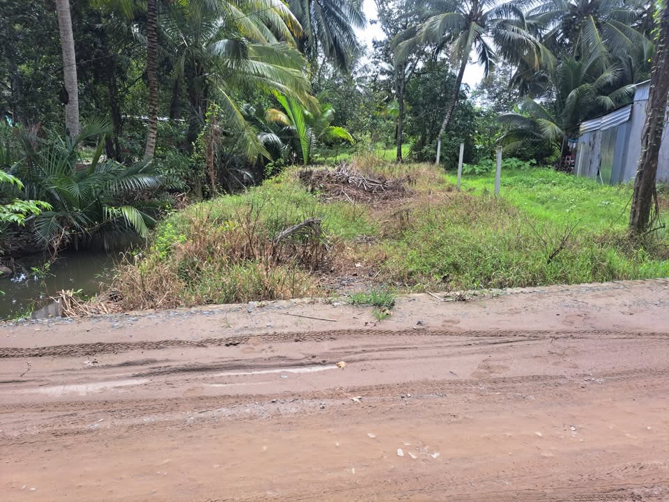 Đất nền thổ cư Cái Răng, Cần Thơ 141m² giá 1.45 tỷ - Sổ đỏ chính chủ!