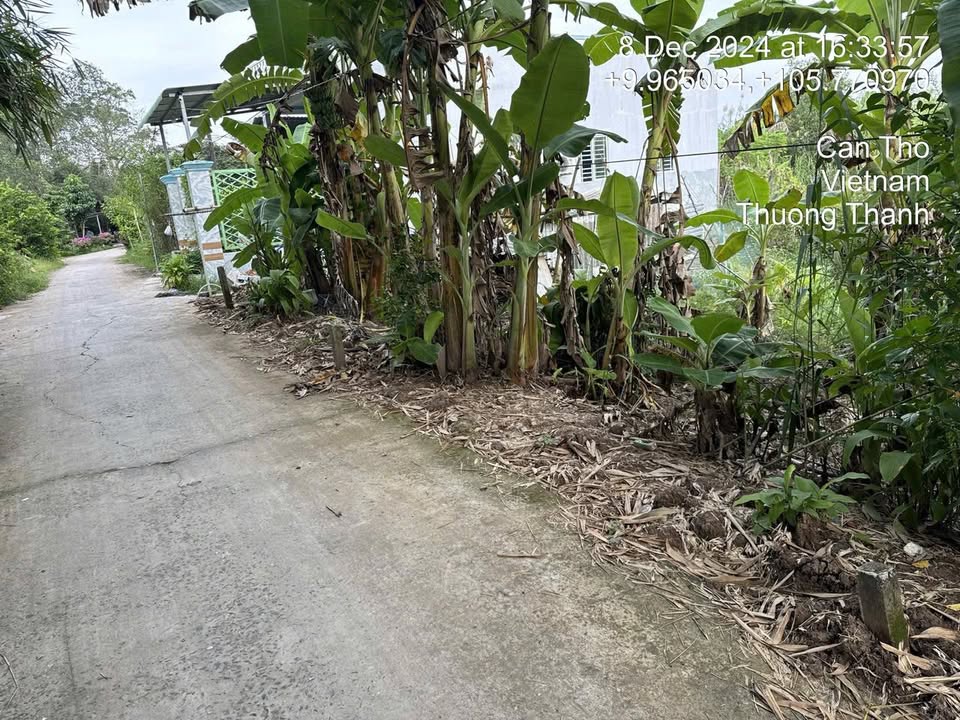 Đất thổ cư Rạch Xẻo Da, Cần Thơ 98.6m² giá 850 triệu - Đầu tư sinh lời dài hạn!