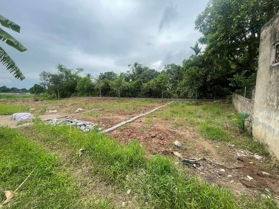 Đất nền Tân Thành, Vụ Bản 95m² giá 800 triệu - Đầu tư sinh lời tuyệt vời!