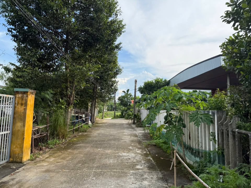 Đất nền Hòa Khương, Đà Nẵng 185m² - Sổ đỏ chính chủ, giá thỏa thuận!