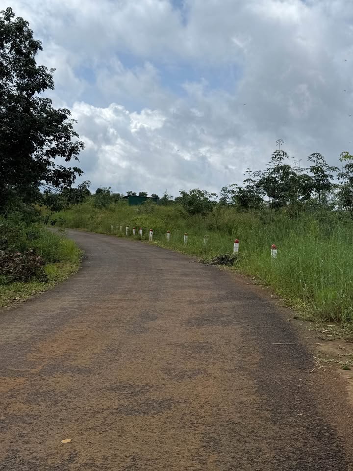 Đất nền Đạo Nghĩa Đắk R'Lấp 12.000m² giá 2 tỷ - Pháp lý rõ ràng