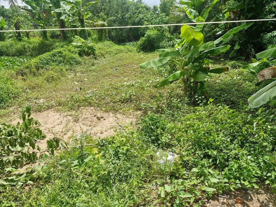 Đất nền Mỹ Long, Cao Lãnh 80m² giá 370 triệu - Đường ô tô vào tận nơi!