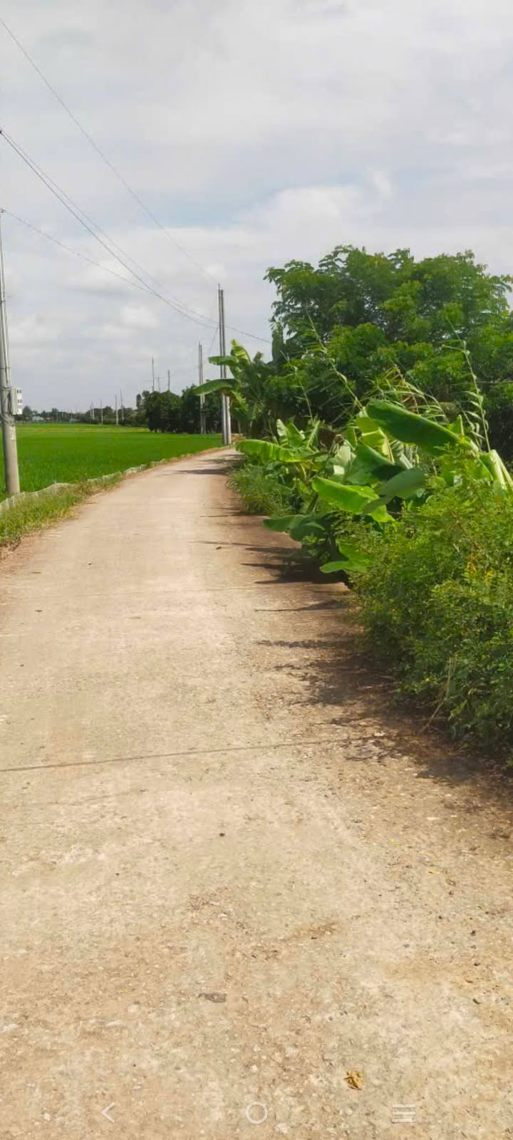 Farm đất vườn Tân Long 2400m² giá 730 triệu - Đầu tư sinh lời lý tưởng!