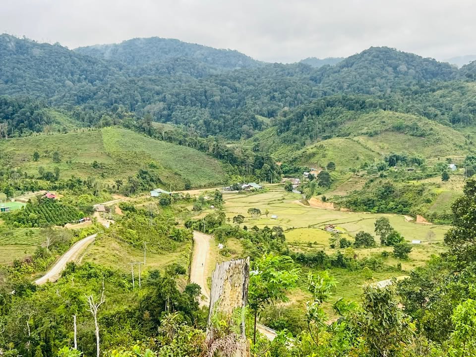 Đất nền Măng Đen 1 hecta giá chỉ 200 triệu - Cơ hội đầu tư hấp dẫn!