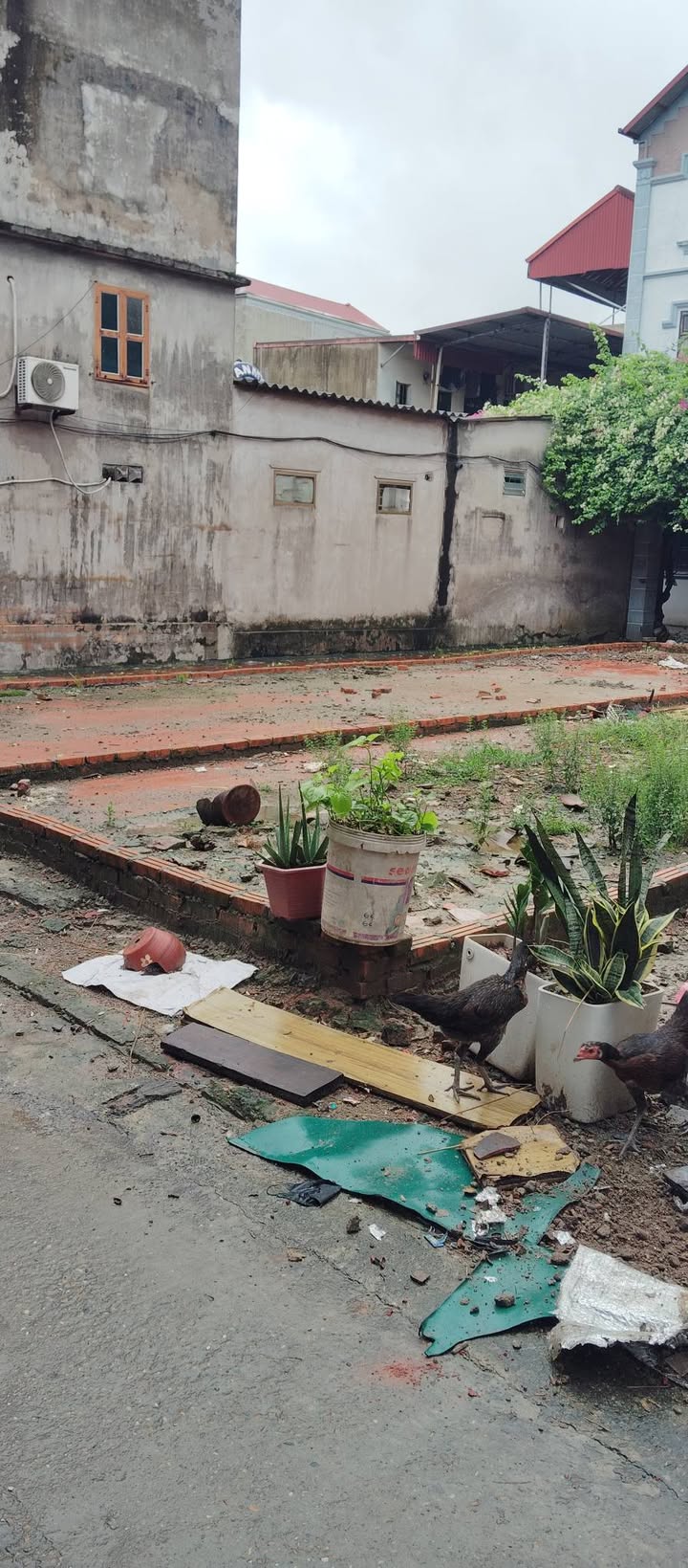 Đất nền Phù Chẩn Từ Sơn 61.4m² giá thỏa thuận - Đầu tư sinh lời ngay!