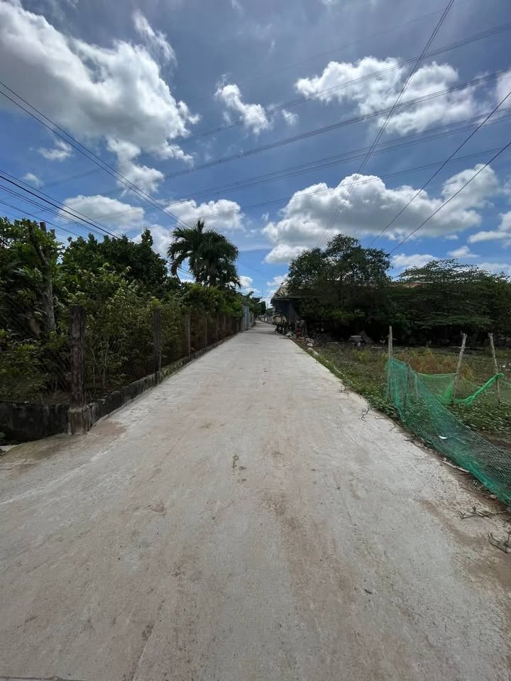 Đất thổ cư Hẻm 504 QL1, Phường 4, Tân An 130m² - Cơ hội đầu tư tuyệt vời!