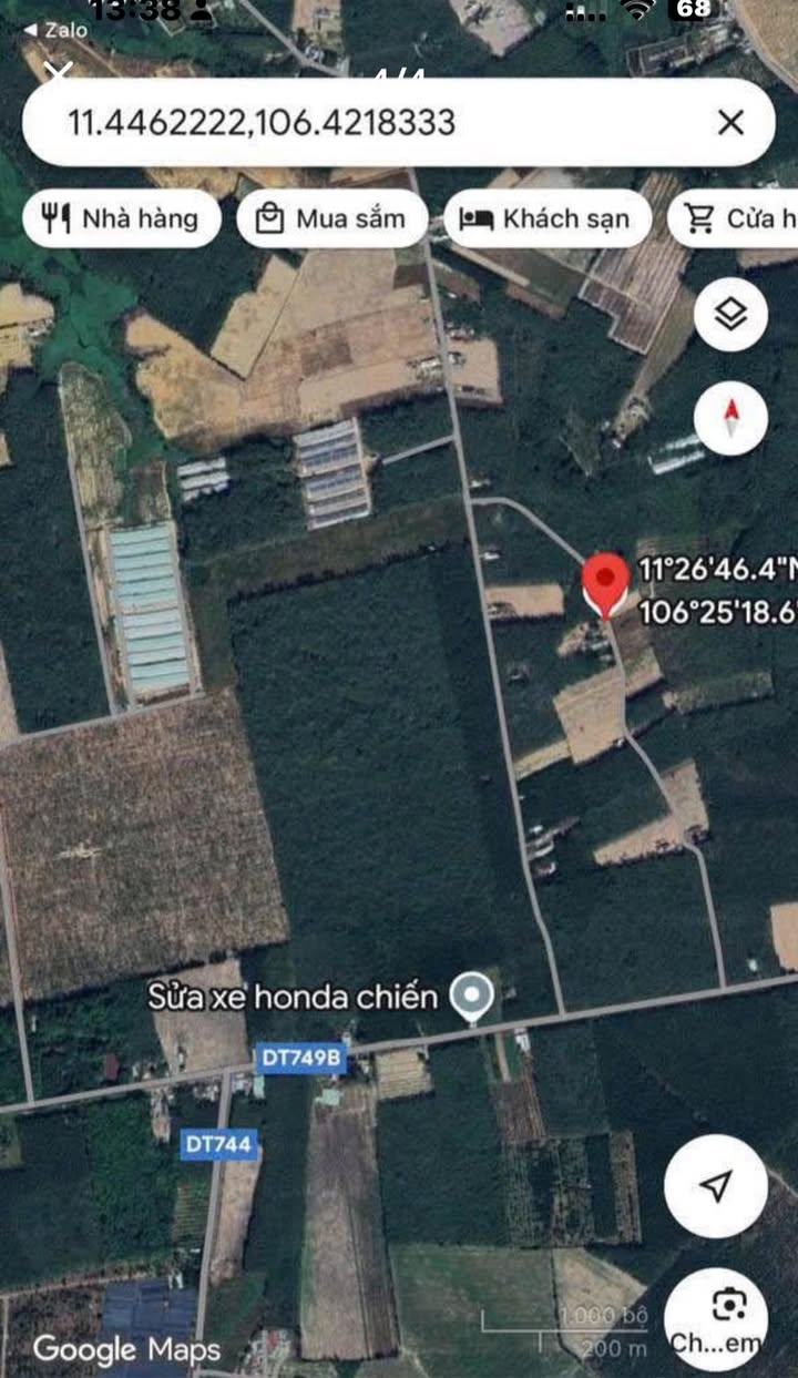 Đất nền 1000m² tại Minh Hòa, Dầu Tiếng - Giá chỉ 500 triệu, vị trí đẹp!