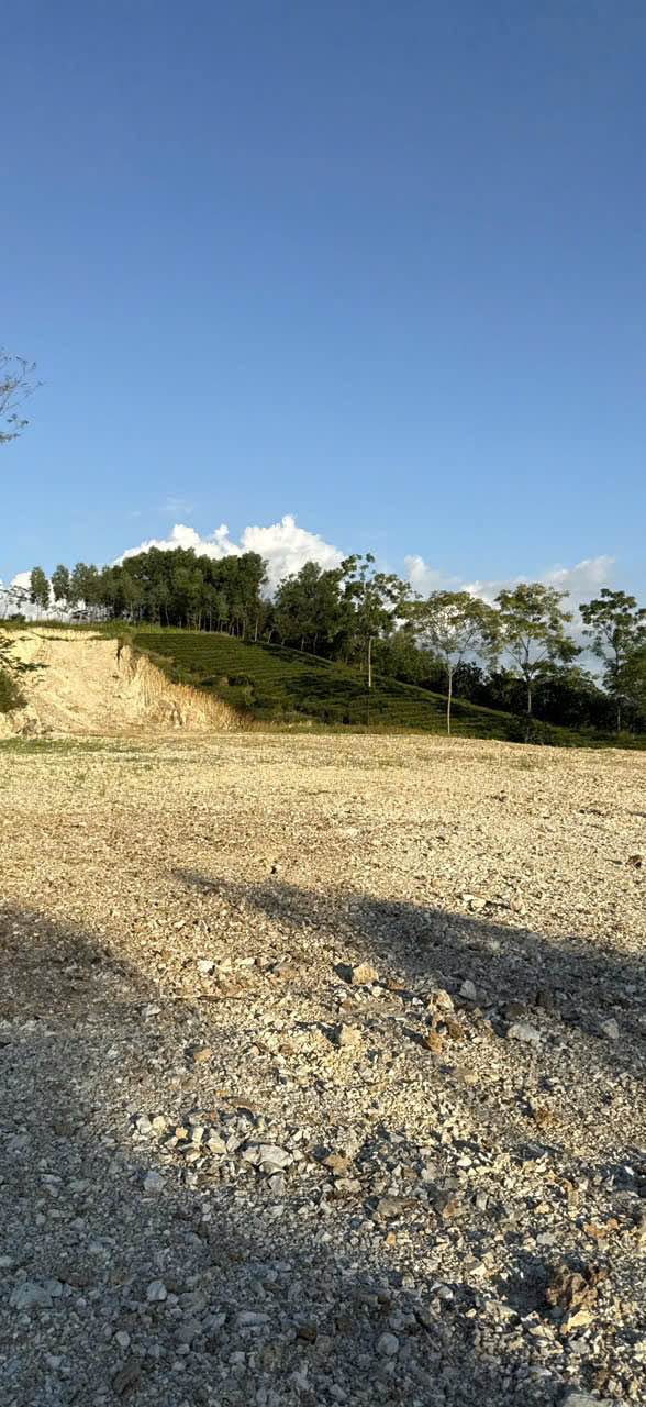 Đất nghỉ dưỡng Tổ 8, phường Mỹ Lâm, 5700m² giá chỉ 3 tỷ - Phong thủy đẹp, sổ đỏ chính chủ!