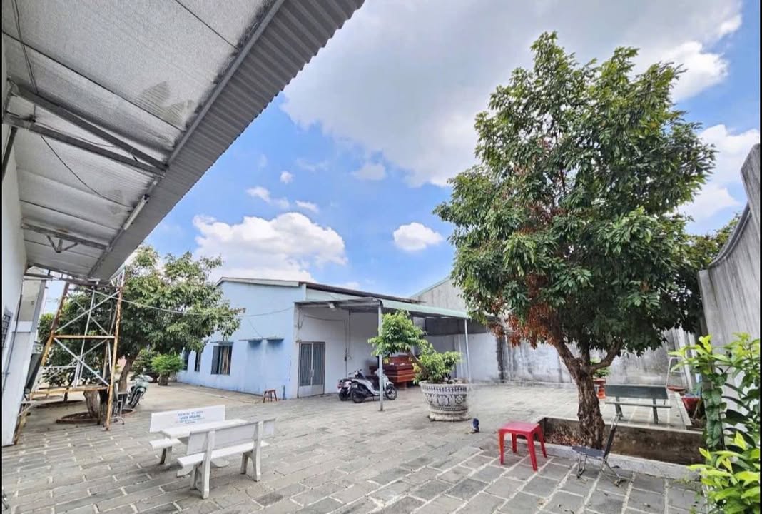 Bán nhà vườn 560m² giá 10.5 tỷ - Tiện ích quanh vùng phát triển!