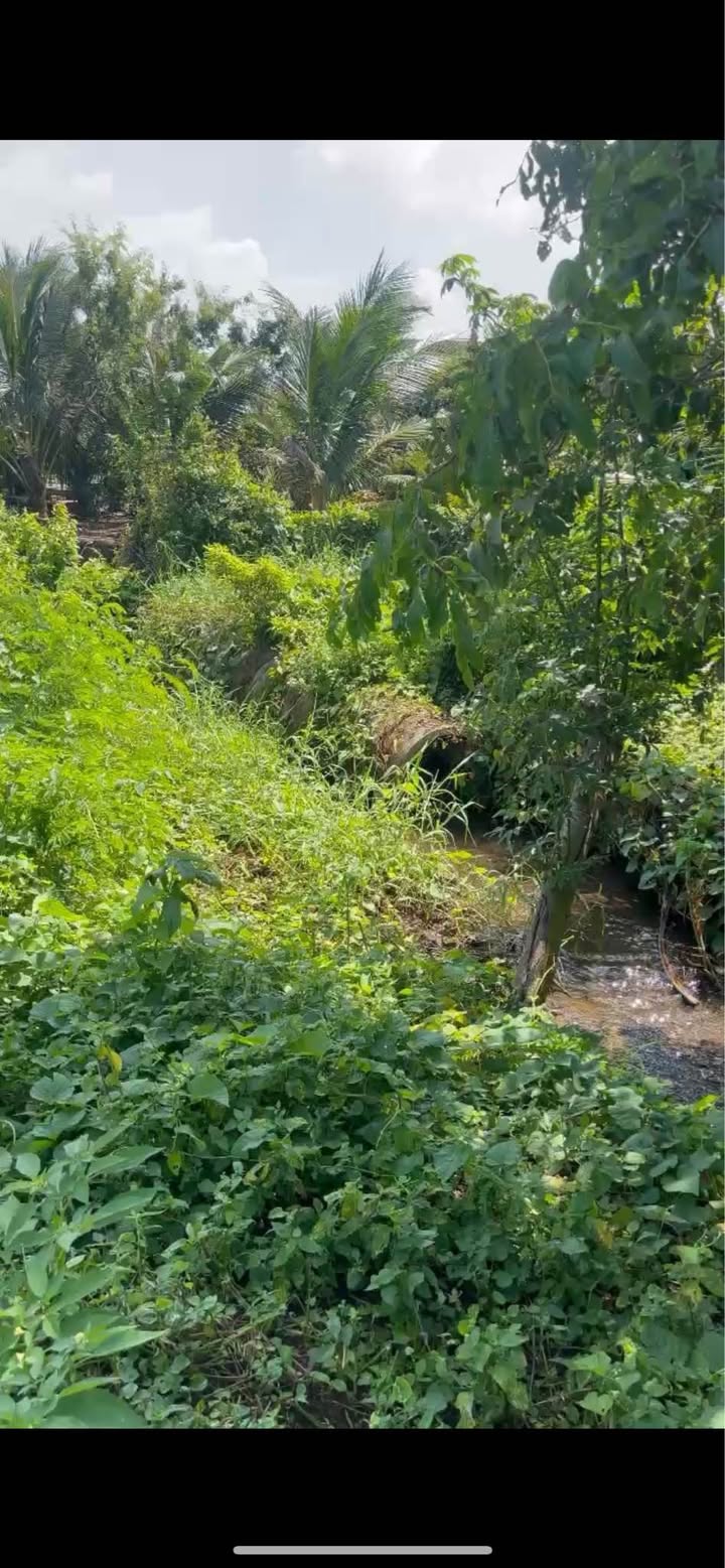 Đất nền Đá Bạc, Châu Đức 445m² giá 1.48 tỷ - Đầu tư lý tưởng với 2 mặt tiền!