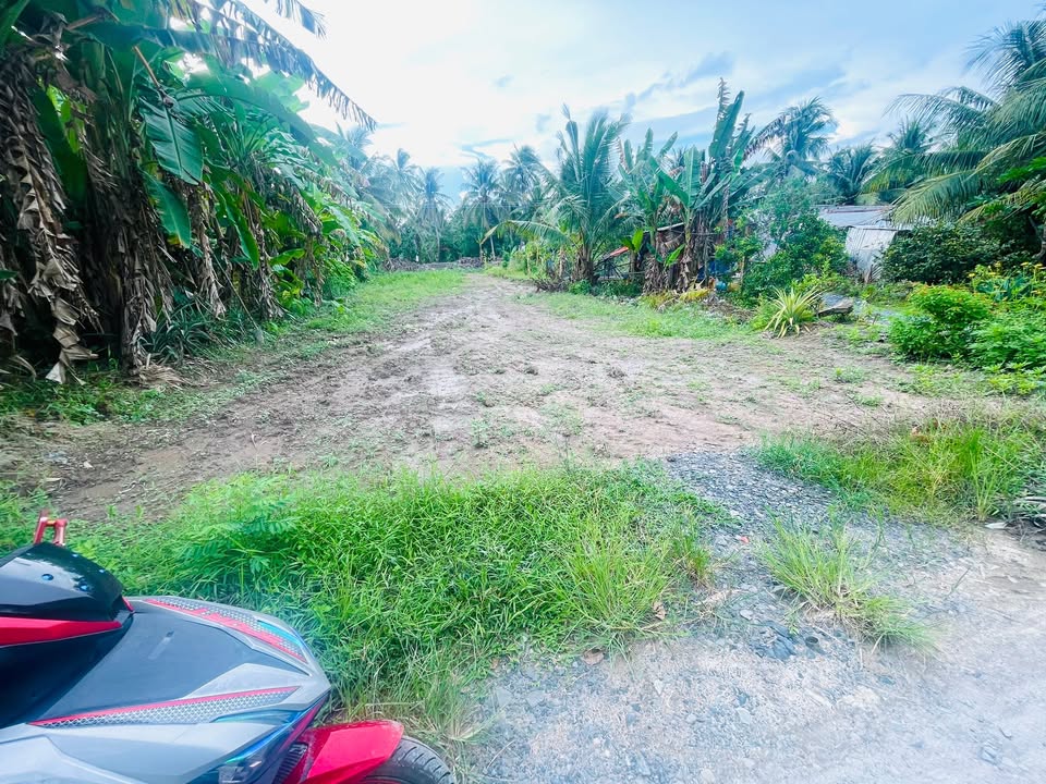 Đất thổ cư Hòa Hiệp Tam Bình 484m² giá 345 triệu - Vị trí thuận lợi gần chợ!