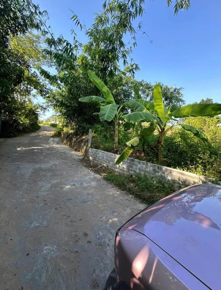 Đất thổ cư thôn 12 Trung Môn 175.5m² giá 1.79 tỷ - Sổ đỏ chính chủ