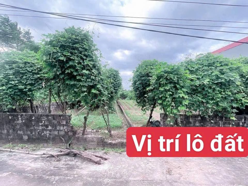 Lô đất thôn An Bài 1, xã Đồng Du, 171m² giá 1.1 tỷ - Sổ đỏ chính chủ!