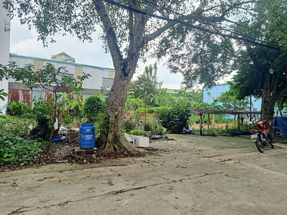 Đất nền Hóc Môn 500m² giá 8.5 tỷ - Địa điểm lý tưởng cho đầu tư!