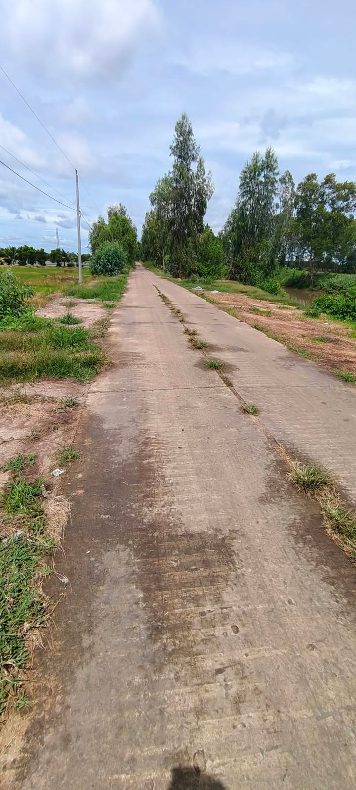 Đất ruộng 120.000m² xã Vĩnh Điều, Giang Thành giá 3.3 tỷ - Mặt tiền xe ô tô vào tận nơi!