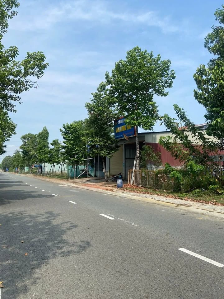 Đất nền mặt tiền đường NE2, Mỹ Phước 3, 1200m² - Cơ hội đầu tư sinh lời!