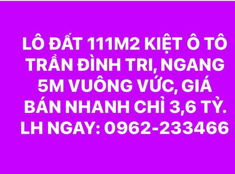 Lô đất 111m² kiệt ô tô Trần Đình Tri, giá 3.6 tỷ - Đầu tư sinh lời ngay!