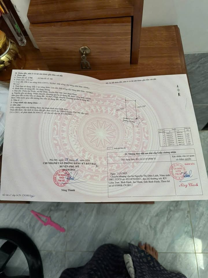 Đất nền Phù Mỹ 130m² giá chỉ 230 triệu - Cơ hội đầu tư tuyệt vời!