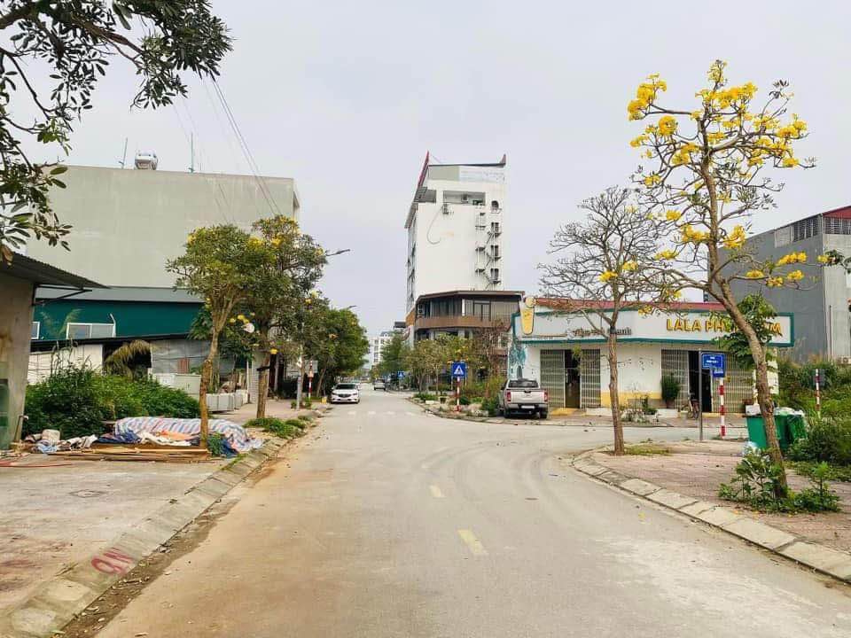 Đất nền 160m² mặt phố Nam Cao, xã Mai Pha - Sổ đỏ chính chủ, giá chỉ 2 tỷ!