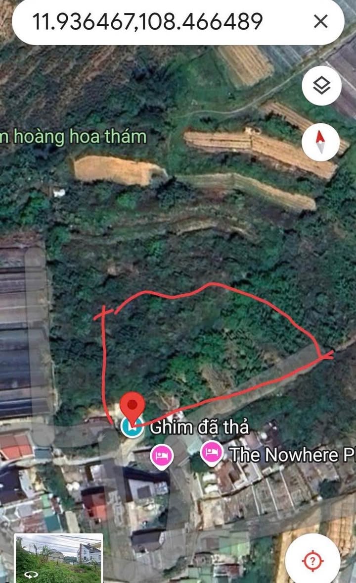 Đất Farm view đồi tại Hoàng Hoa Thám, Đà Lạt 5000m² giá 45 tỷ - Sổ hồng riêng chính chủ!
