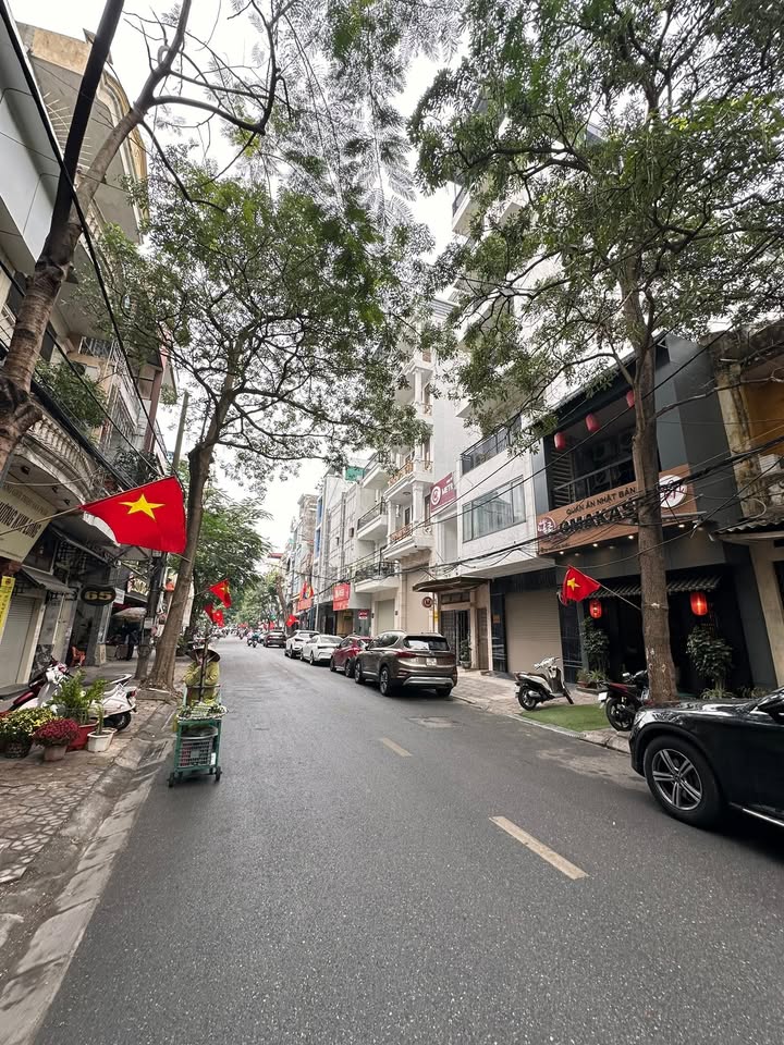 Nhà mặt đường Phan Bội Châu, Hải Phòng 120m² giá 21 tỷ - Đầu tư sinh lời cực cao!