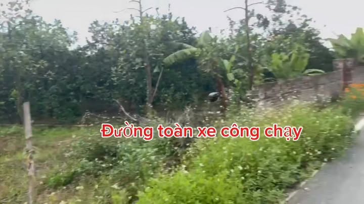 Đất vườn Sài Sơn 1000m² giá thỏa thuận - Đường nhựa 13m hai mặt tiền