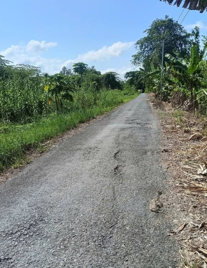 Đất nền liền kề mặt tiền lộ nhựa tại Bình Yên, Cần Thơ 150m² - View sông thoáng mát!