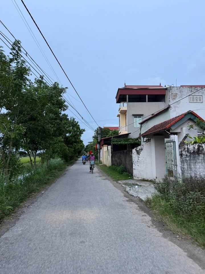 Đất nền thổ cư tại Yết Kiêu, Gia Lộc 91.7m² chỉ 2 tỷ - Cơ hội đầu tư tuyệt vời!