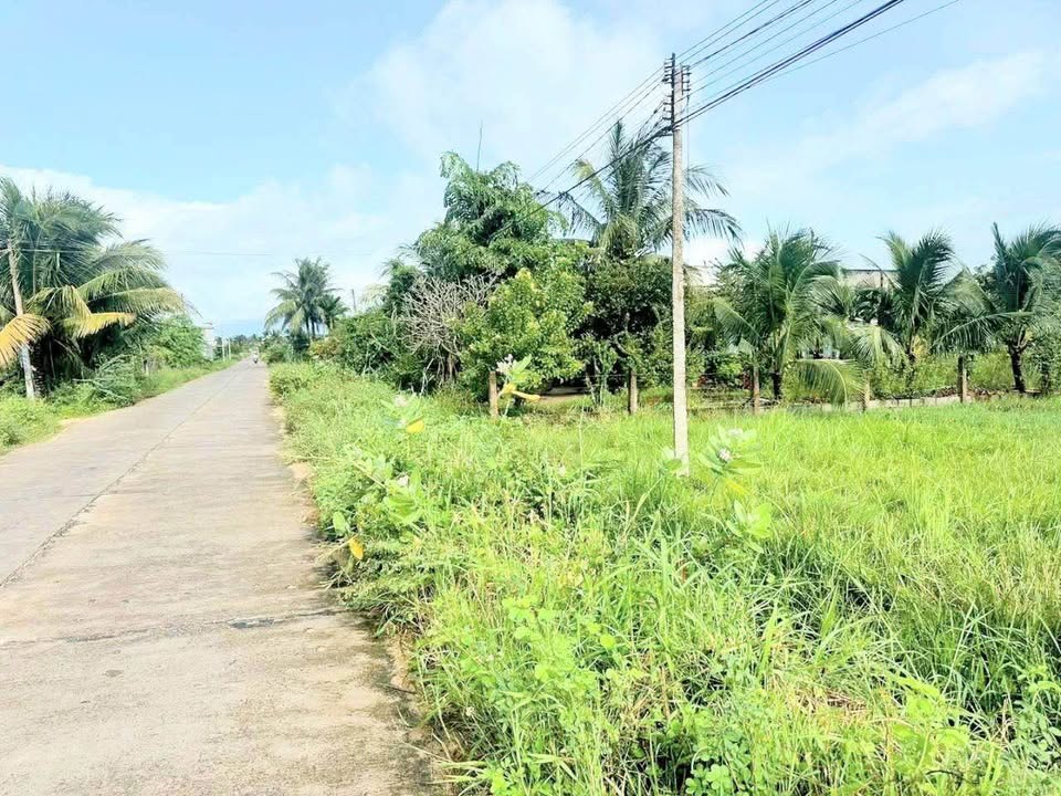 Đất thổ cư 250m² tại Bình An, Hàm Chính - Đầu tư sinh lời cao!